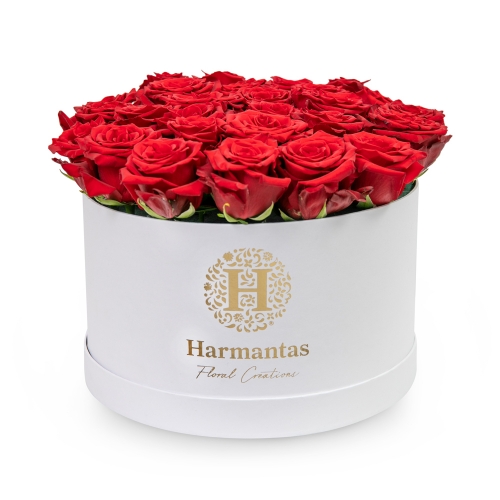 Κόκκινα τριαντάφυλλα σε μεγάλο λευκό κουτί