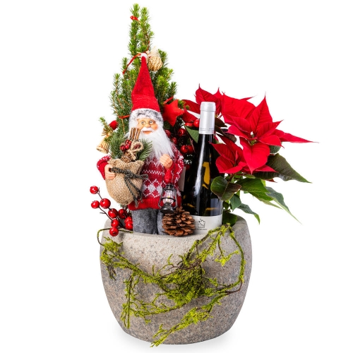 Premium phytosynthesis with a bottle of wine, fir and poinsettia