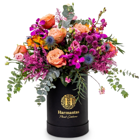 Black box Harmantas with flowers in orange and pink