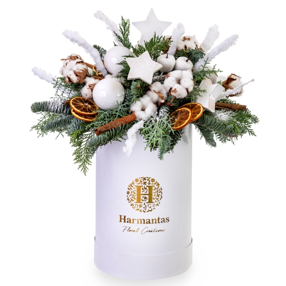 White festive box with white ornaments and fir 