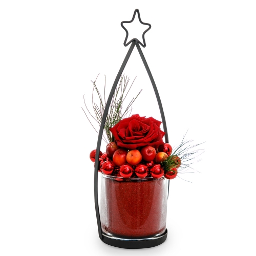 Red rose in a christmas arrangement