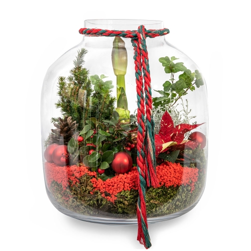 Christmas arrangement of plants in a round bowl 