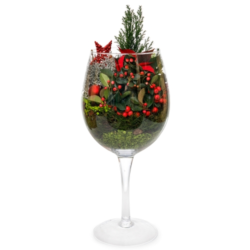 Christmas composition of plants in a glass