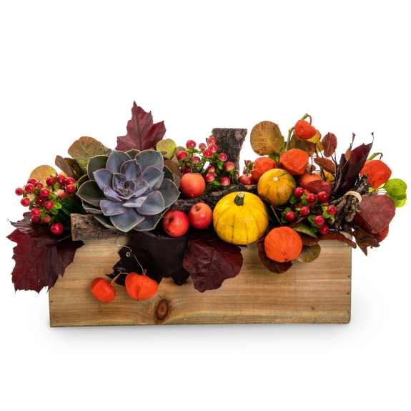 Automn arrangement with pumpkins