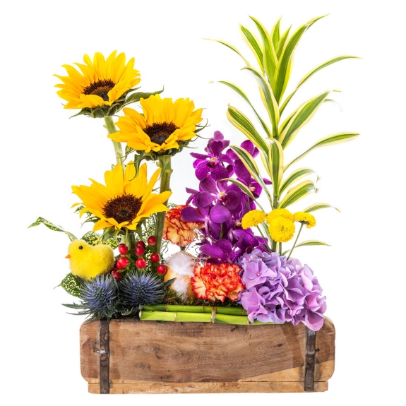 Spring garden with sunflowers and orchirds in a wooden base