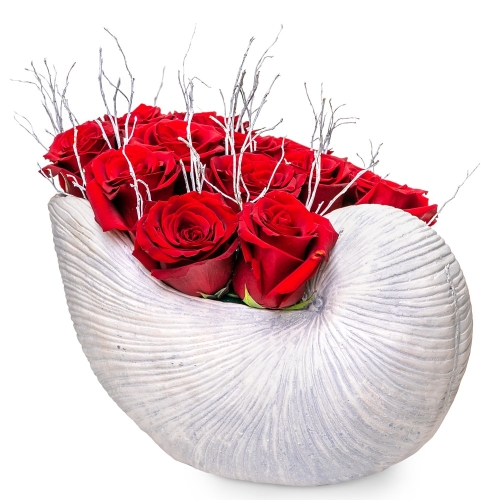 Red roses on a shell